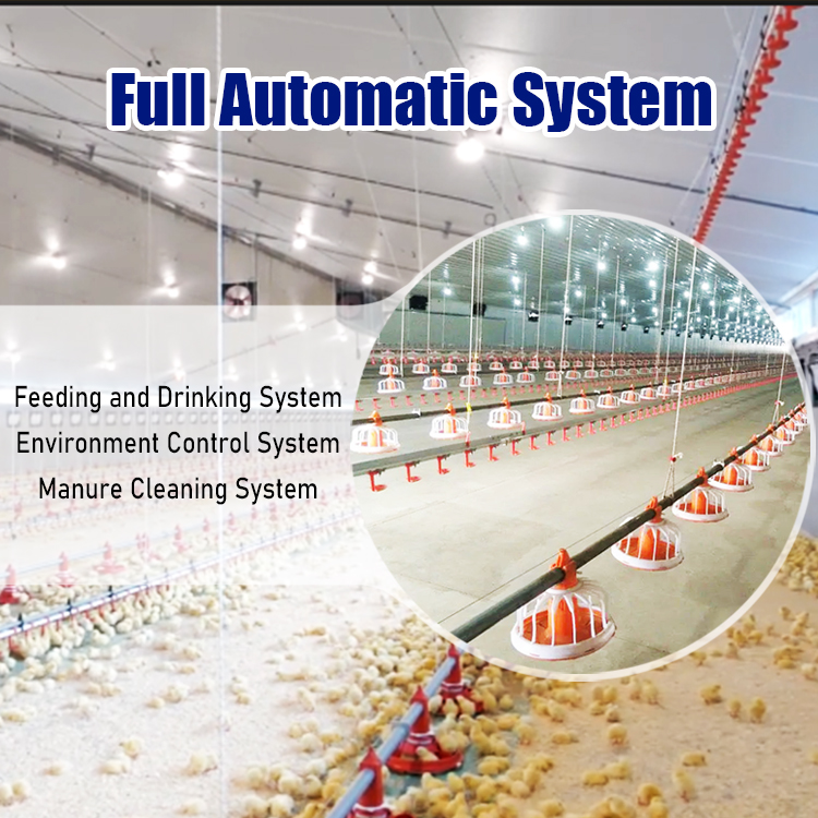 poultry farm equipment poultry farm equipment