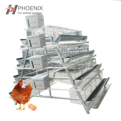 A-type Manual Chicken Cage Chicken Coop for Animal & Poultry Husbandry Equipment Chicken Cages of Layer Or Broiler
