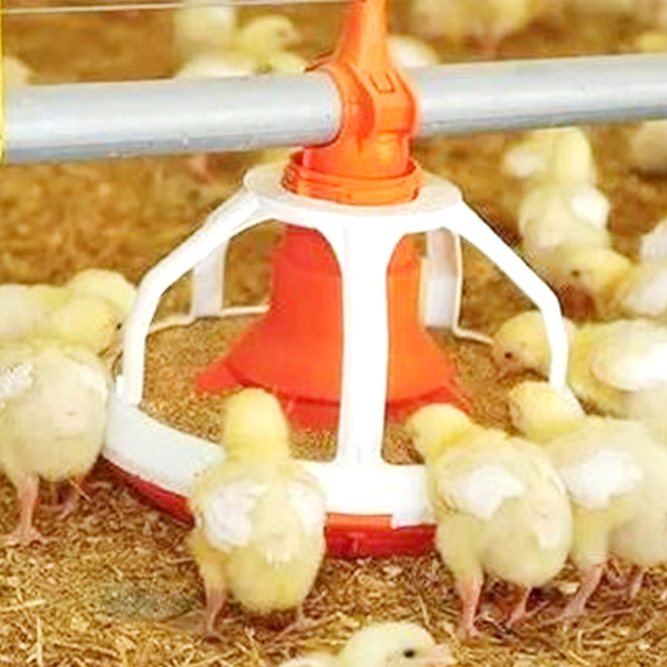 chicken feeder pan chicken feeder pan