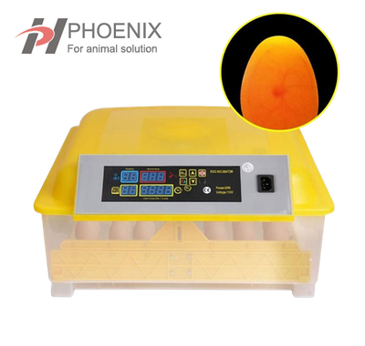 Mini Egg Incubator Digital Automatic Poultry Hatcher Egg Incubator for Chicken Duck Goose