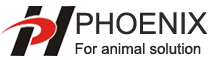 phoenix-logo new