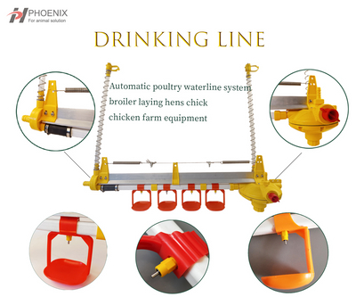Automatic Chicken Drinking Line Complete Drinking Equipment for Poultry Farm Water Line System 