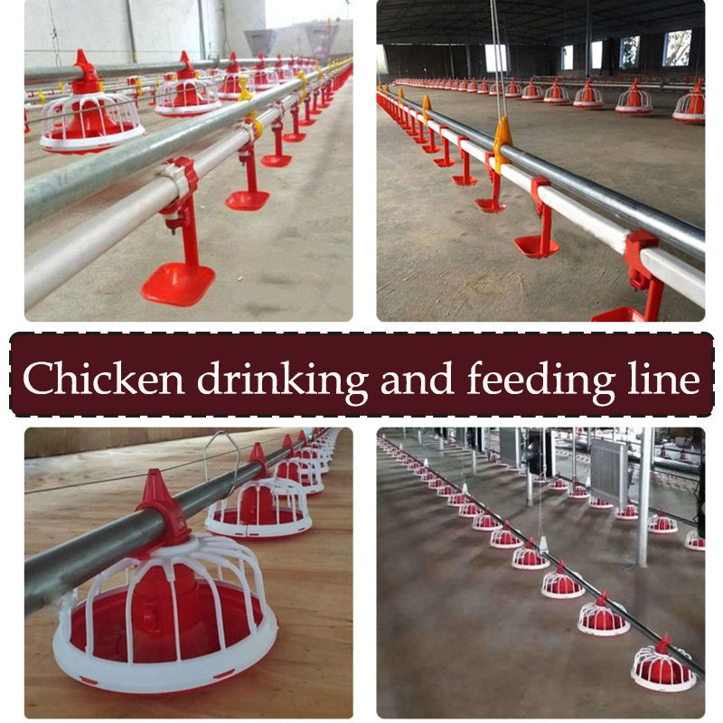 poultry-equipment