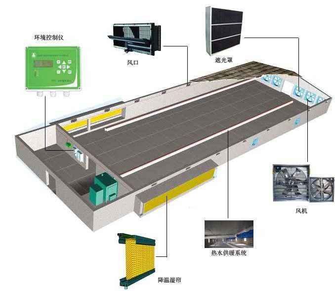 chicken farm equipment (25)