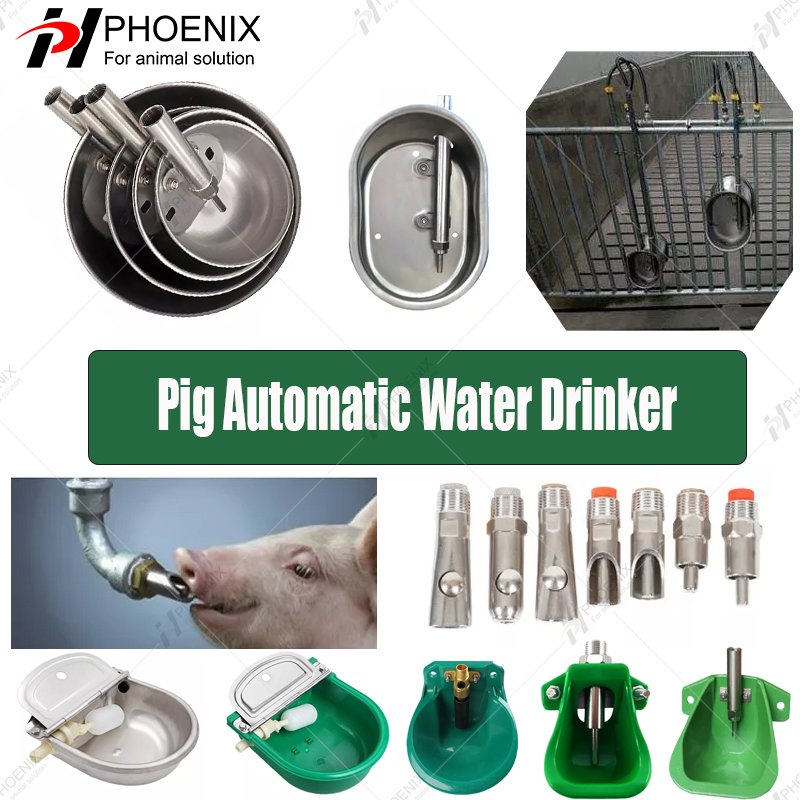 pig water drinker