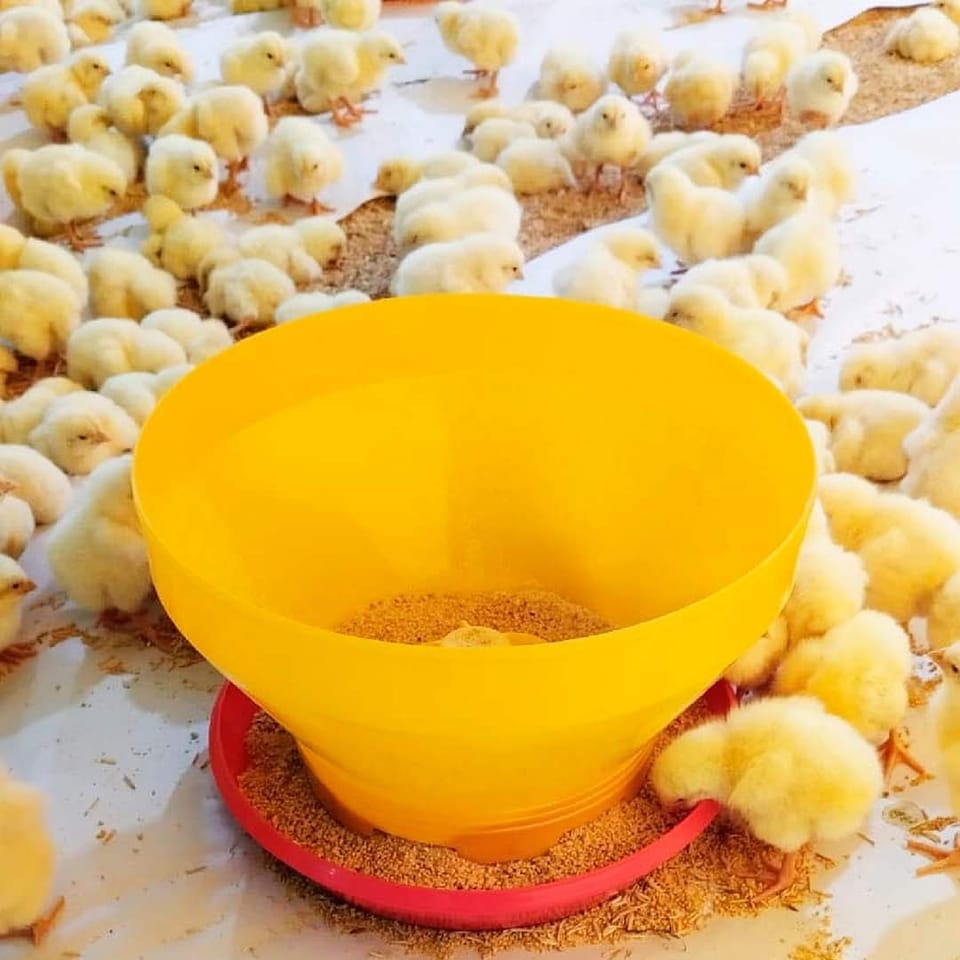 chicken turbo feeder bucket (2)