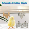 Ph-158 Chicken Nipple Drinker 