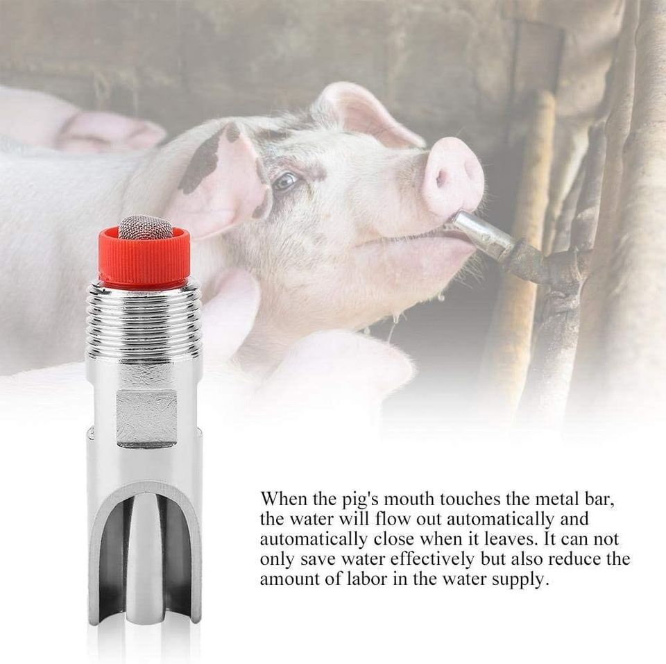 There is always a drinking fountain suitable for your pig farm