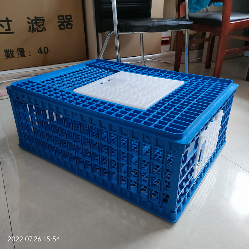 Factory Direct Sale Broiler Poultry Farm Equipment Plastic Chicken Transport Cage/live Chicken Tranport Cage Ph-243