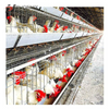 A-type Manual Chicken Cage Chicken Coop for Animal & Poultry Husbandry Equipment Chicken Cages of Layer Or Broiler