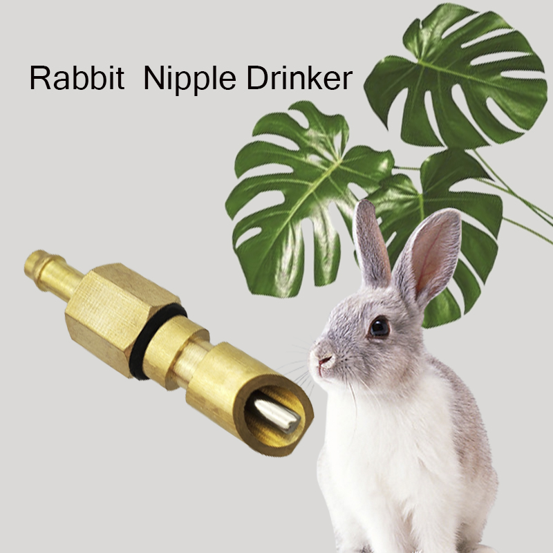rabbit nipple drinker