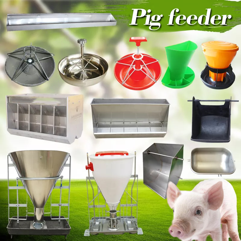 pig feeder
