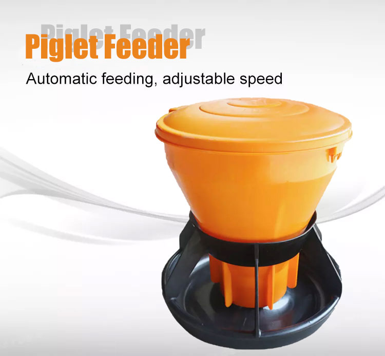 pig feeder