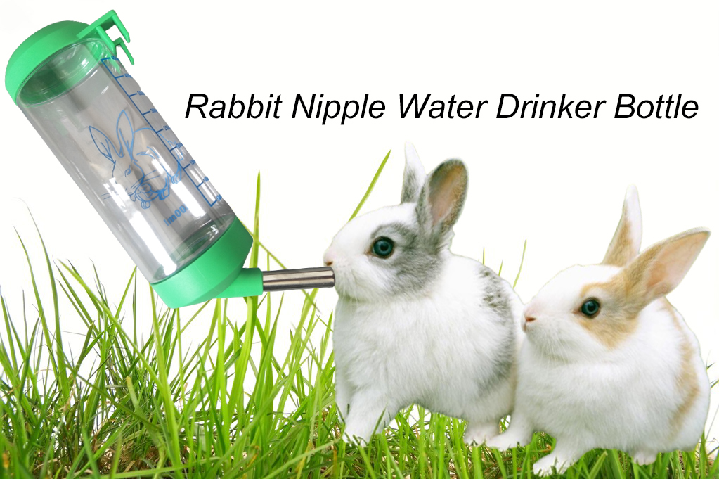 Rabbit Nipple Water Drinker Bottle