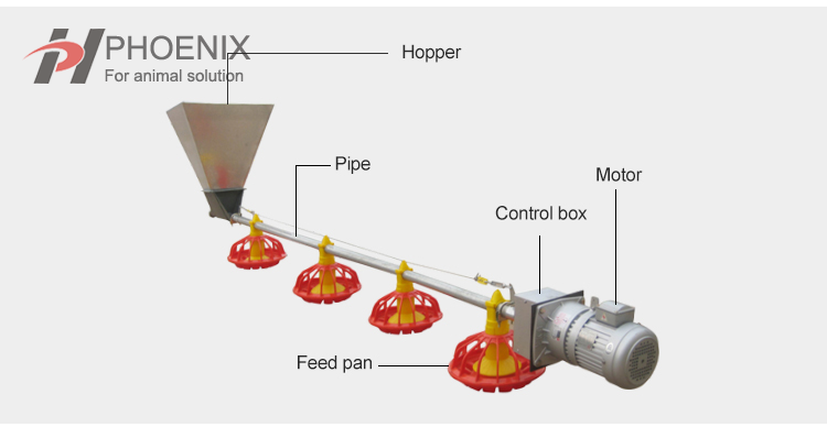 Automatic Feeding Systerm Poultry Feeding And Drinking Line
