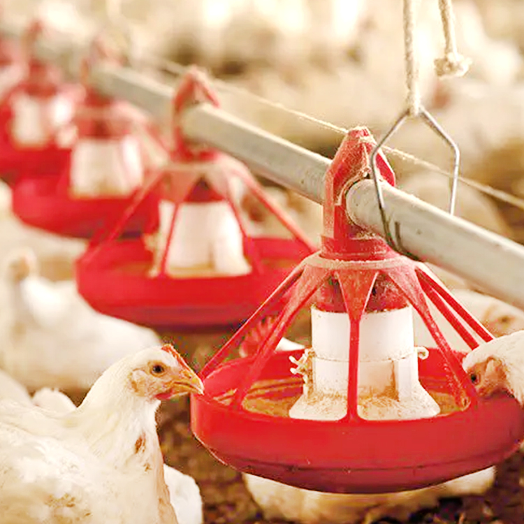 pan feeding system