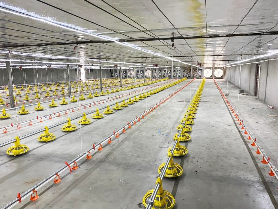 chicken house equipment