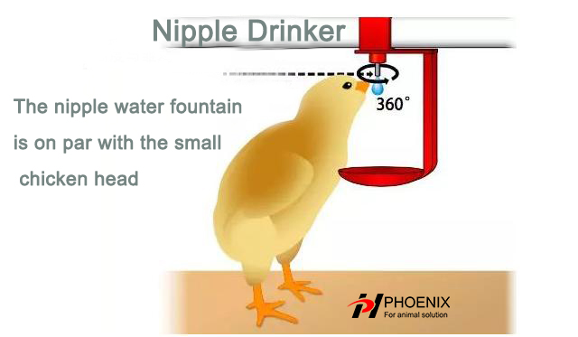 animals nipple drinker (1)