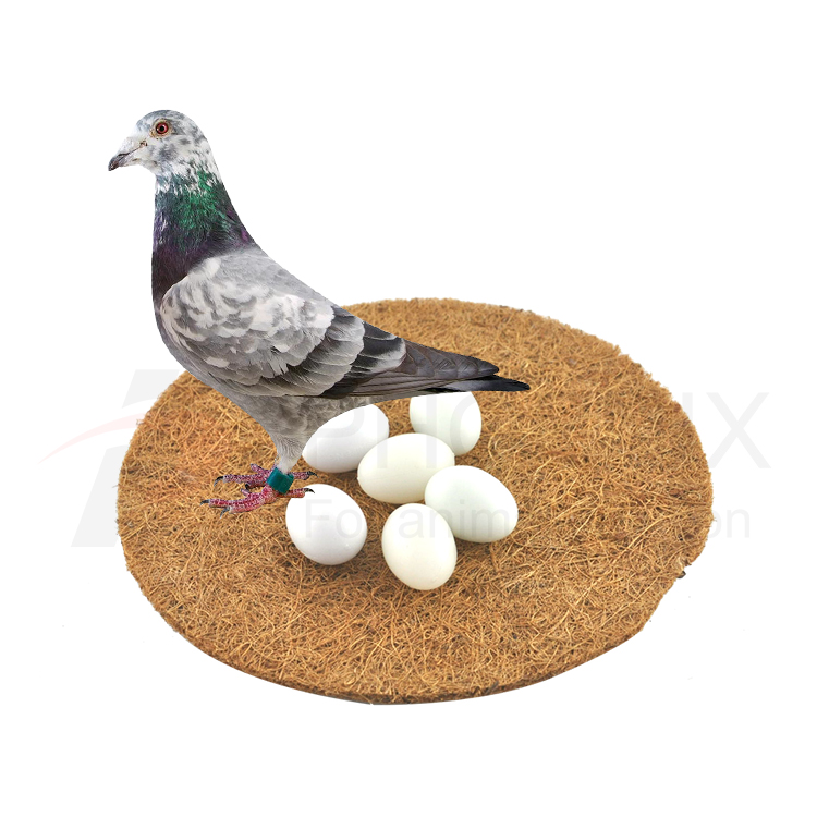 pigeon nest pad2