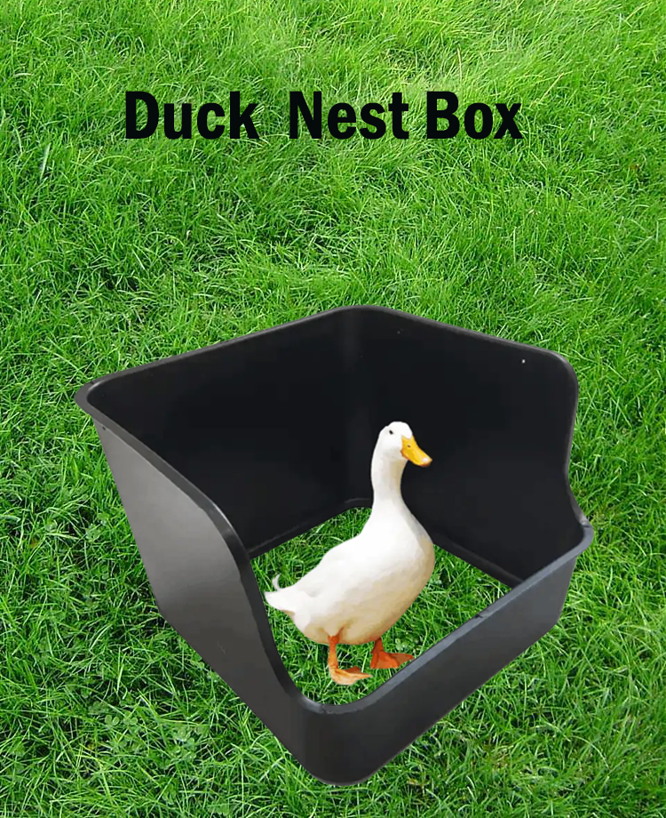 chicken nest box 