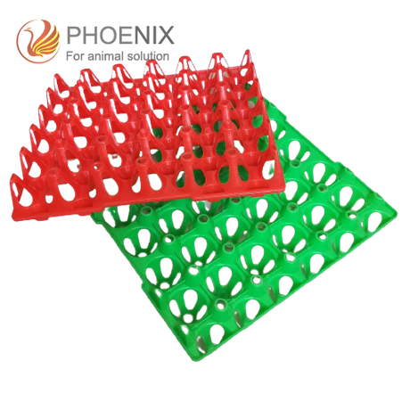 Plastic Chicken And Quail Egg Tray Poultry Farming Equipmen Ph-136