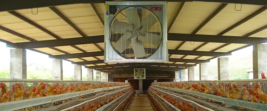 chicken coop ventilation fans