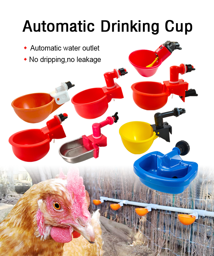 Automated Chicken Coop Watering Systems: Providing Clean Water for Your Poultry