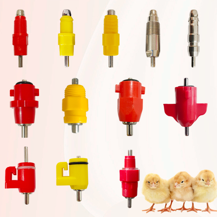 chicken nipple drinker