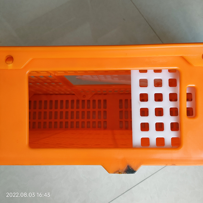 Quail Transport Cage 800 x800