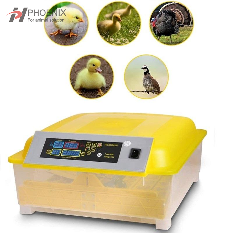 Mini Egg Incubator 24-Eggs Intelligent Automatic Mini Egg Incubator Temperature Control Hatcher for Hatching Chicken Duck