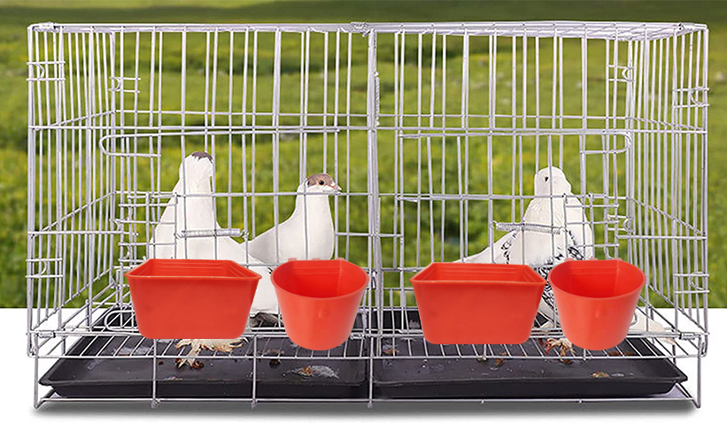 pigeon feeder 10