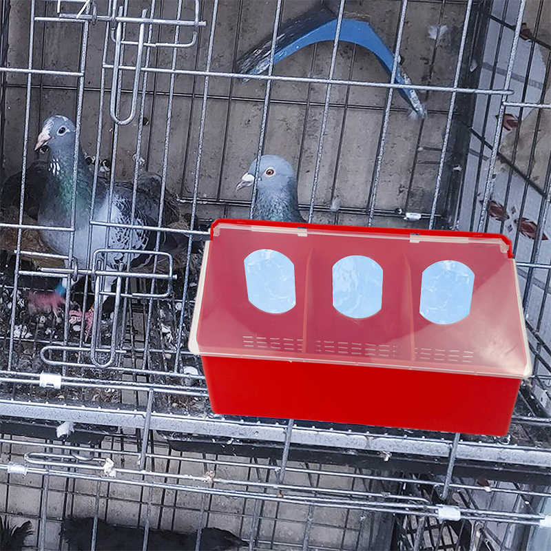 pigeon feeder (3)