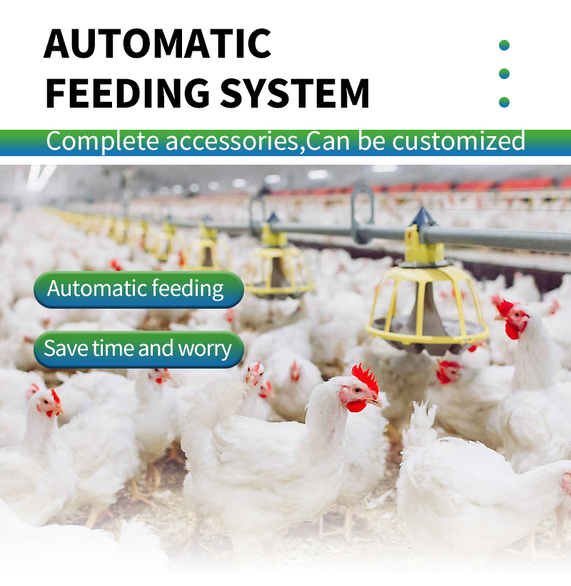 automatic feeding line