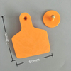 Plastic Cattle Sheep Pig Ear Tags For Livestock Farming Hang Tags 