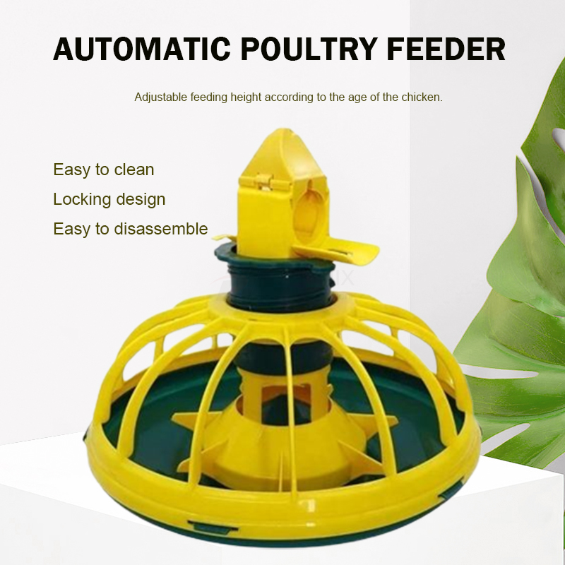 feeder poultry 