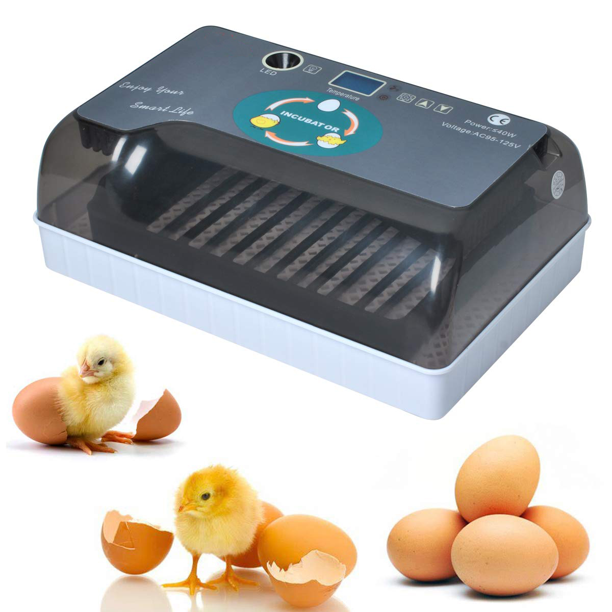 mini egg incubator (4)