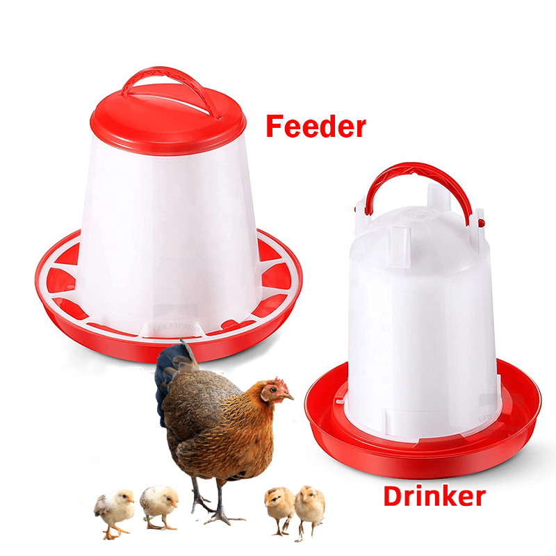poultry feeder and drinker (2)