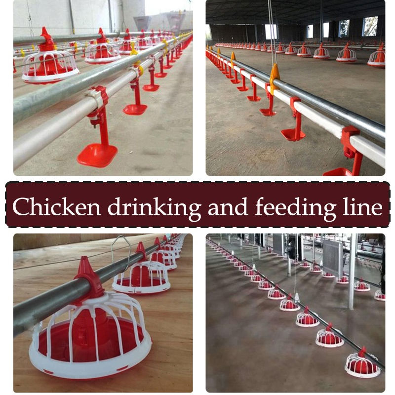 poultry equipment (4)