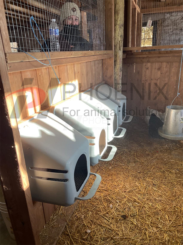 Single Hole Chicken Nest Box for Poultry Equipment Chicken Coop Ph160
