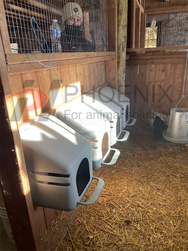  Single Hole Chicken Nest Box for Poultry Equipment Chicken Coop Ph-160