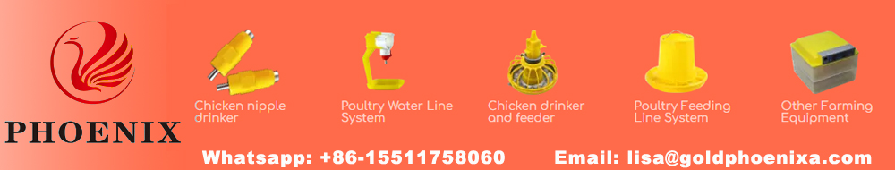 Phoenix Poultry breeding equipment