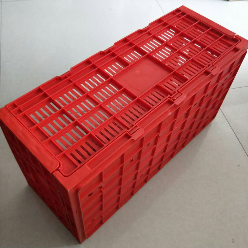 Collapsible Plastic Egg Cages Egg Transfer Boxes For Chicken Eggs Collect Transport Plastic Pallet Box Ph-150
