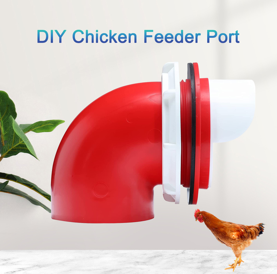 chicken feeder port)