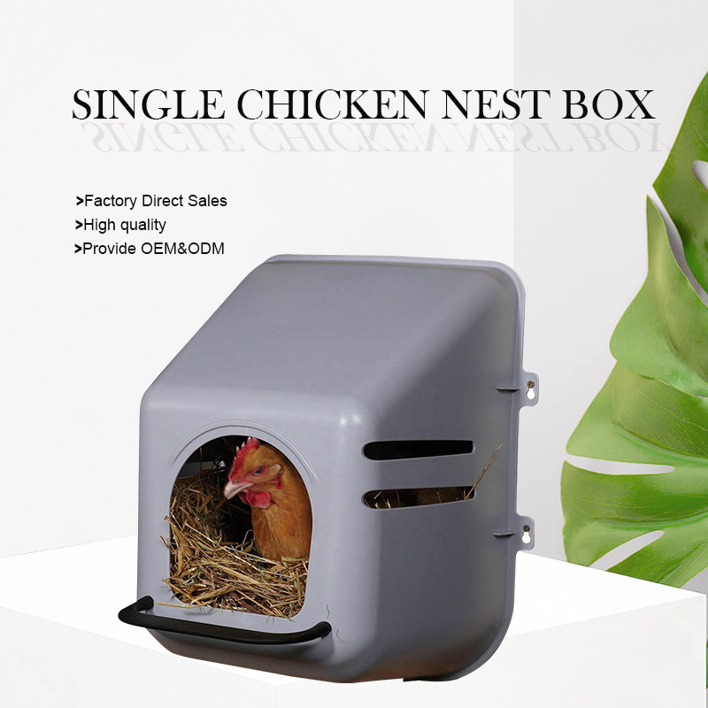 chicken nest box