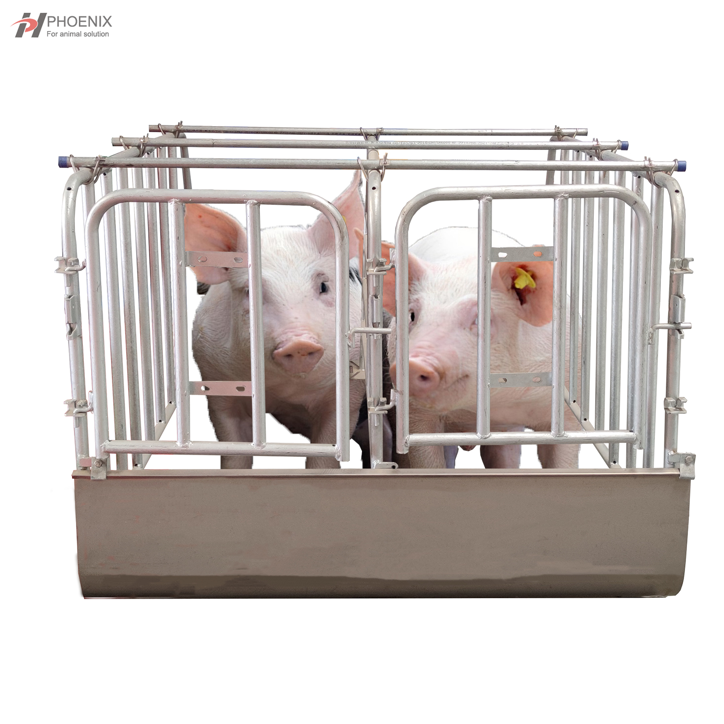 Galvanized Cages Gestation Stall Or Insemination Stall for Sow