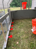 //ikrorwxhnjqrlp5p.ldycdn.com/cloud/lqBprKmilkSRklmojkijio/chicken-water-cup-system.png