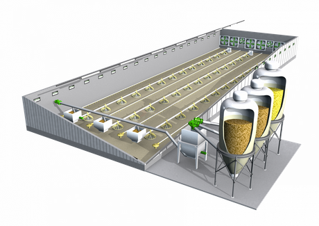 Automatic Chicken Breeding Equipment