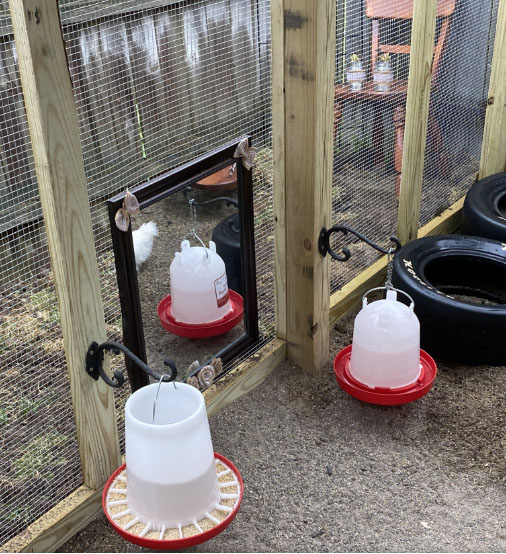 chicken farm equipment (45)
