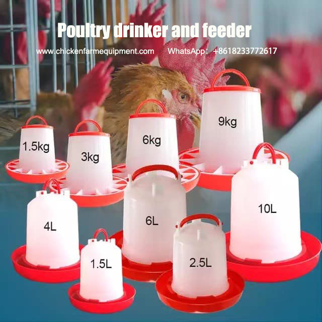 chicken feeder and drinker bucket