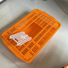 Manufacturer Big Size Stackable Plastic Transort Cage / Crate for Chicken / Duck / Goose / Quail / Pigeon Ph-270